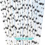 Pajitas papel estampado patas perros 7.75pulg pack 100