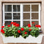6 Cajas Flores 27" Exteriores con Bandejas Drenaje