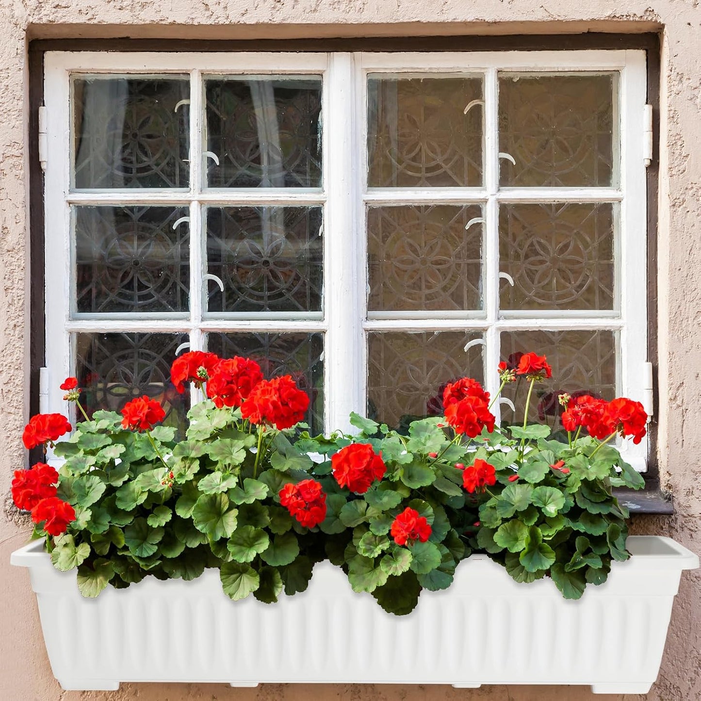 6 Cajas Flores 27" Exteriores con Bandejas Drenaje