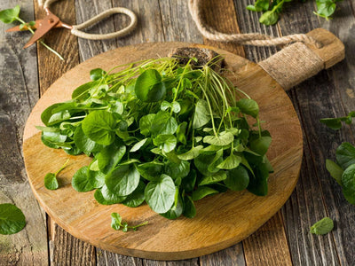 Semillas de berro y lechuga Brodleaf 400 pzas
