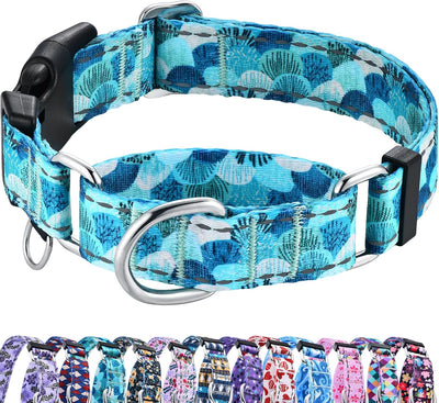Collar reflectante ajustable perros grandes concha turquesa