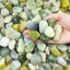 Rocas verdes pulidas 1-2" para suculentas y jardín