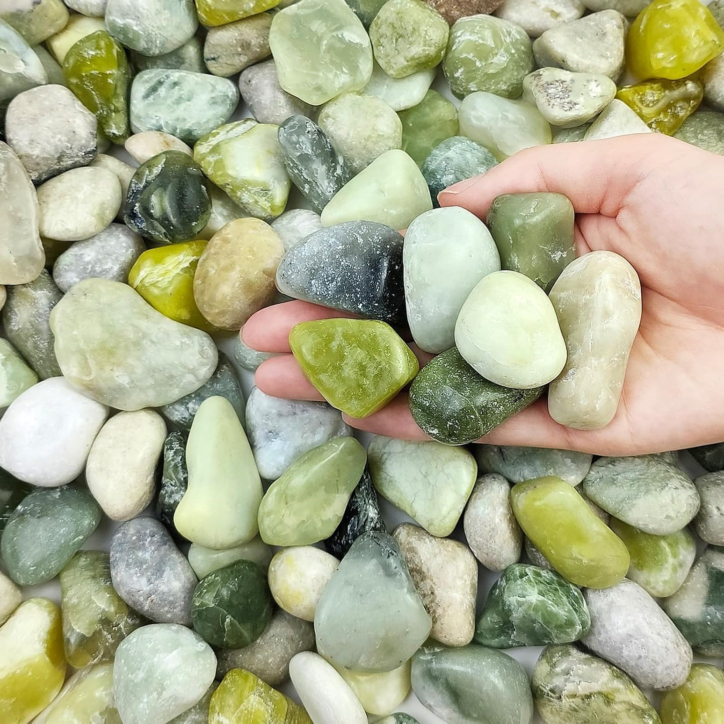 Rocas verdes pulidas 1-2" para suculentas y jardín