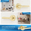 Pack 10 Manijas Puerta Paso Palanca Latón Satinado