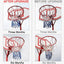 Red baloncesto repuesto 12" resistente climas color duradero
