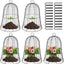 5 Cloches Alambre Jardín 16x13pulg Cúpula Negra Metal Resistente