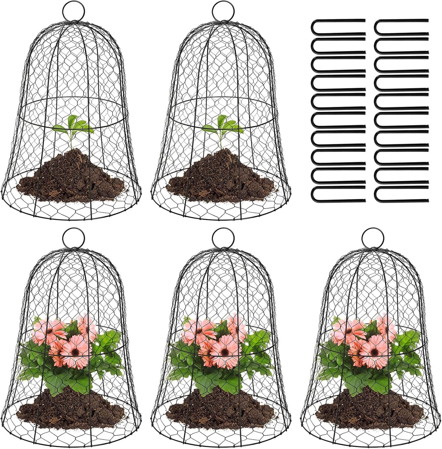 5 Cloches Alambre Jardín 16x13pulg Cúpula Negra Metal Resistente