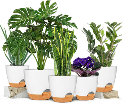 Macetas plástico autoriego 5.5-7pulg suculentas y plantas