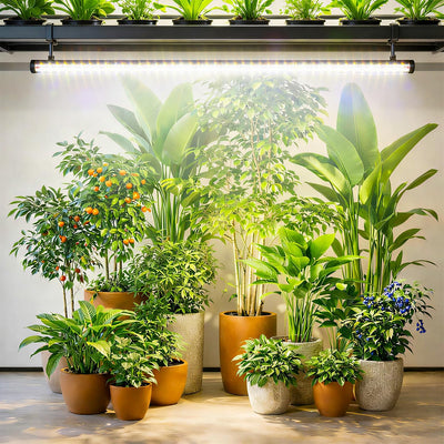 Lámpara cultivo plantas interior 64.5pulg LED 660nm 3000K 6000K 36W