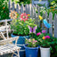 4 Estacas Metal Flores Decorativas Jardín Primavera