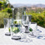 Set 6 Copas Champán 20.1oz Transparente