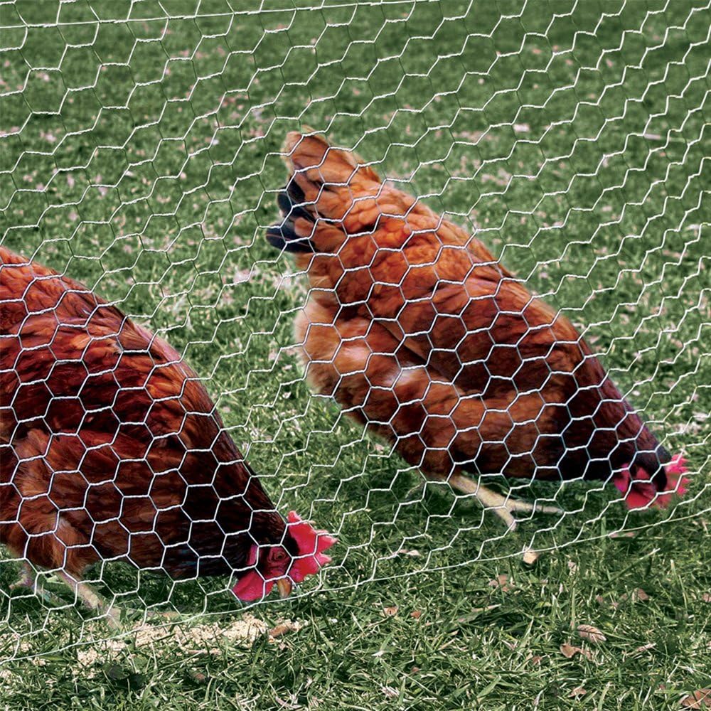 Red malla aves corral 2pulg 2x25ft