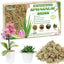 Musgo de esfagno 6oz para orquídeas y plantas
