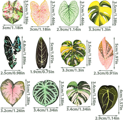 12 imanes hoja para nevera decoración cocina oficina