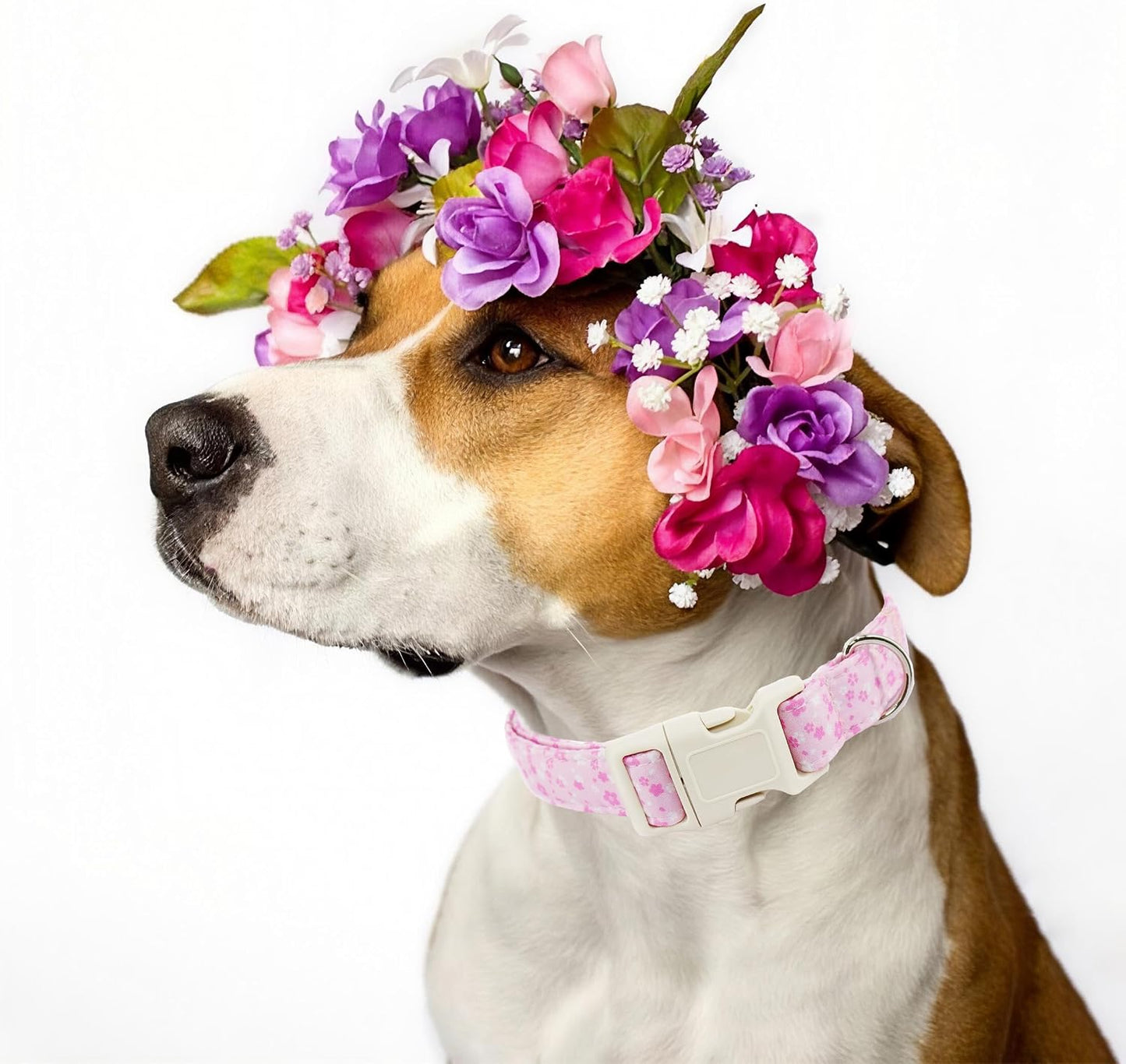 Collar floral ajustable para perros pequeños con hebilla rápida
