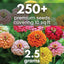 Semillas Zinnia California Giants 250 unidades