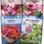 Kit semillas mariposa algodoncillo zinnias flox equinacea