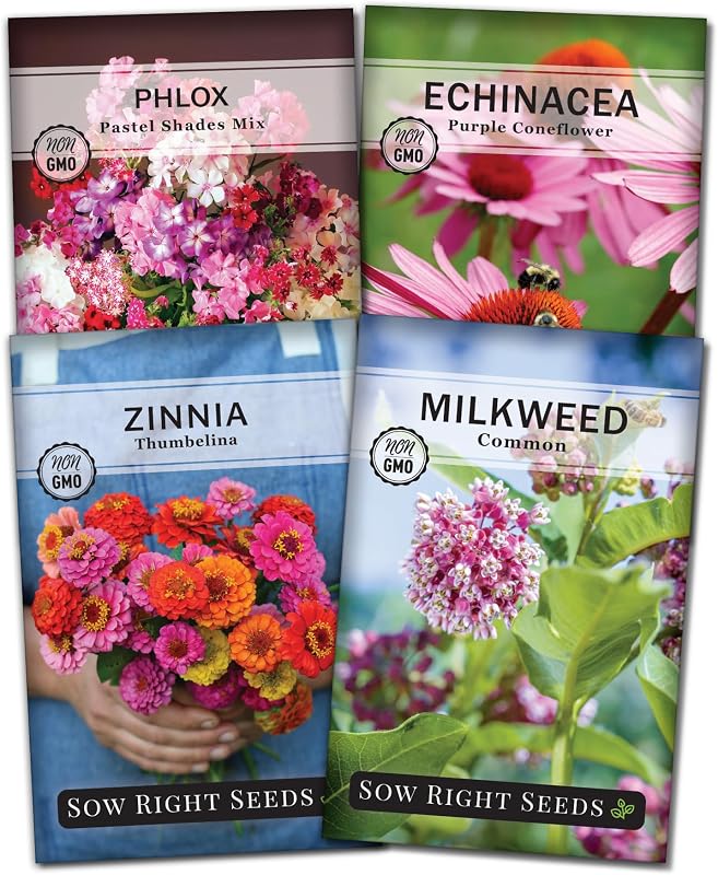 Kit semillas mariposa algodoncillo zinnias flox equinacea