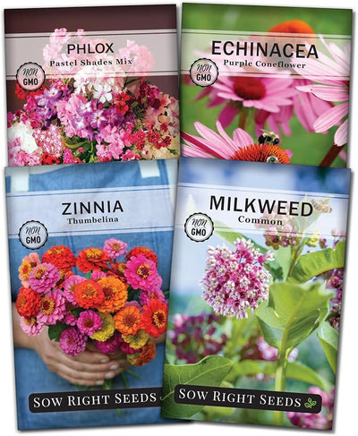 Kit semillas mariposa algodoncillo zinnias flox equinacea