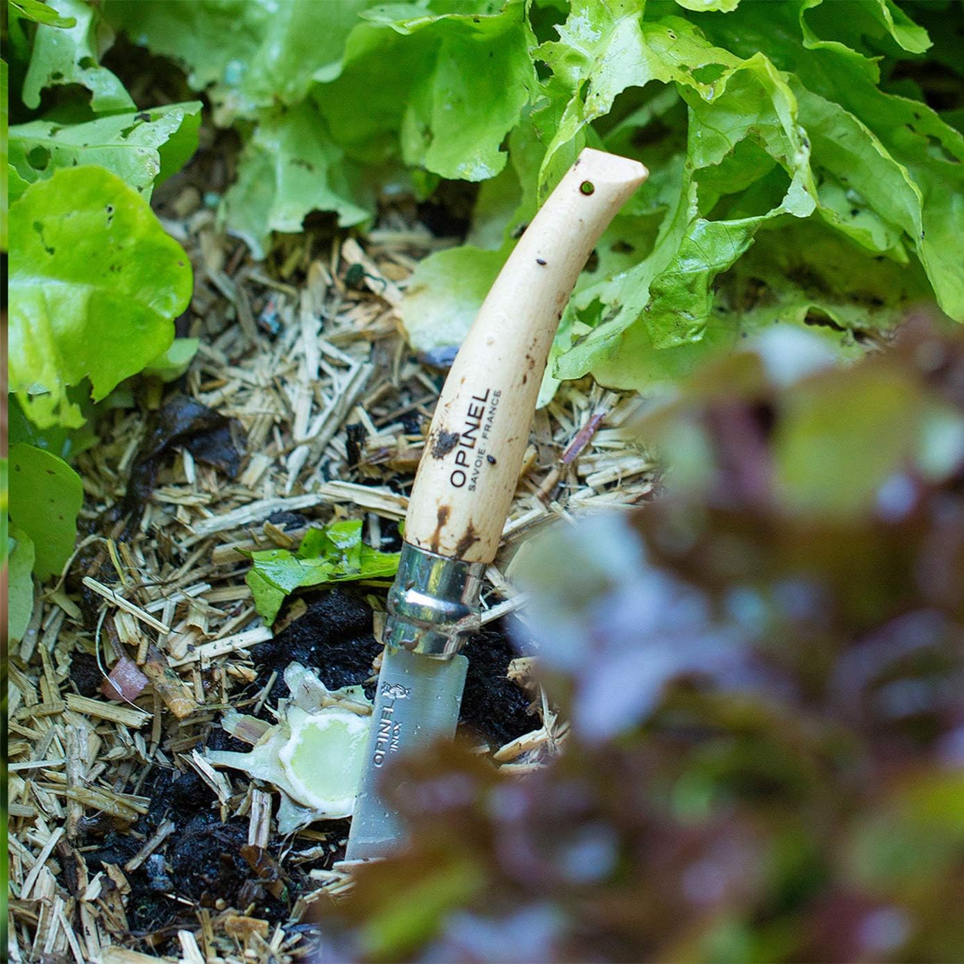 Cuchillo jardín hoja 3.3pulgada metálico