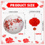 20 Linternas Papel Flores Cerezo Estilo Minimalista Blanco Rojo