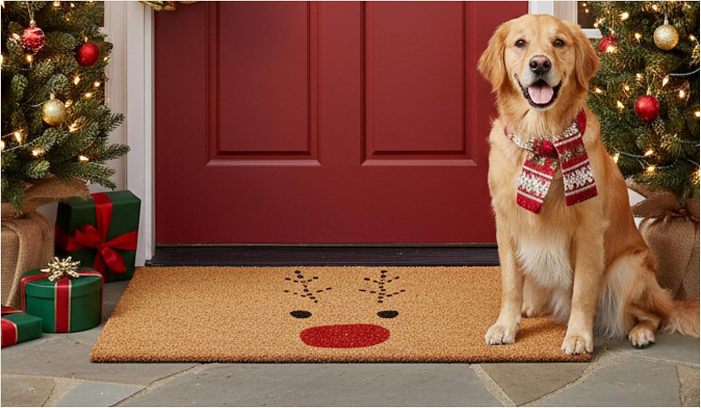 Felpudo Rudolph 30x48pulg Multicolor