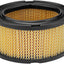 Filtro aire cortacésped Tecumseh HM70-100 7-10HP