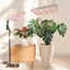 Luz LED cultivo plantas interior 60W 2x2pies 8 niveles