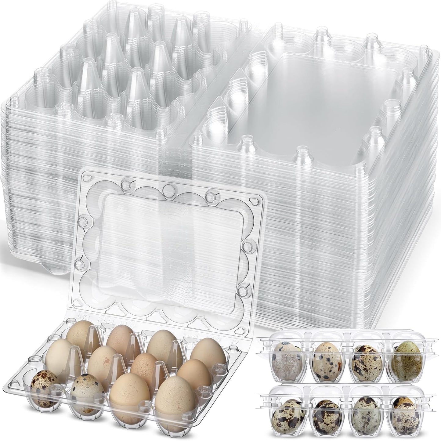 40 Cajas Huevos Codorniz 12 Rejillas Plástico Transparente
