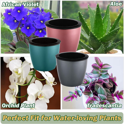 Macetas riego automático 6.7" para violeta africana orquídea