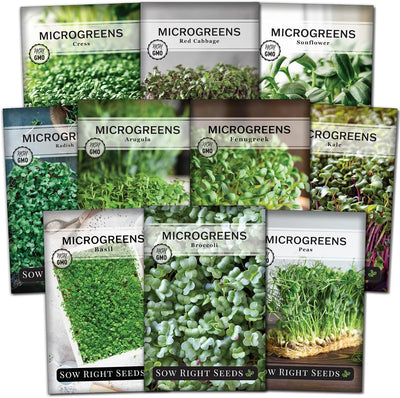 10 Pack Semillas Microgreens Germinación Encimera