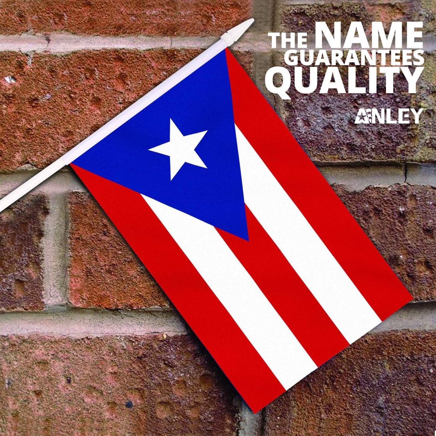 12 Mini Banderas Puerto Rico 5x8pulg Resistentes