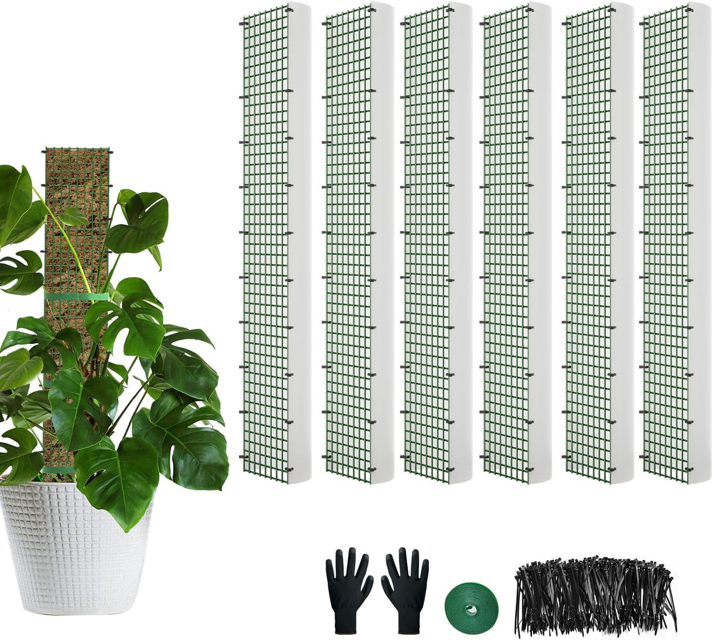 Poste musgo forma D para plantas trepadoras 6 pzas 24"