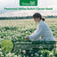 Semillas trébol holandés blanco perennes para césped 2lb
