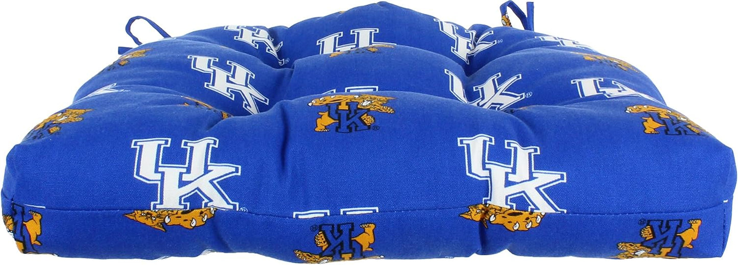 Cojín D para asiento 20x20" Kentucky Wildcats