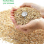 5lb Piedras Maifanitum para suculentas cactus decorativas