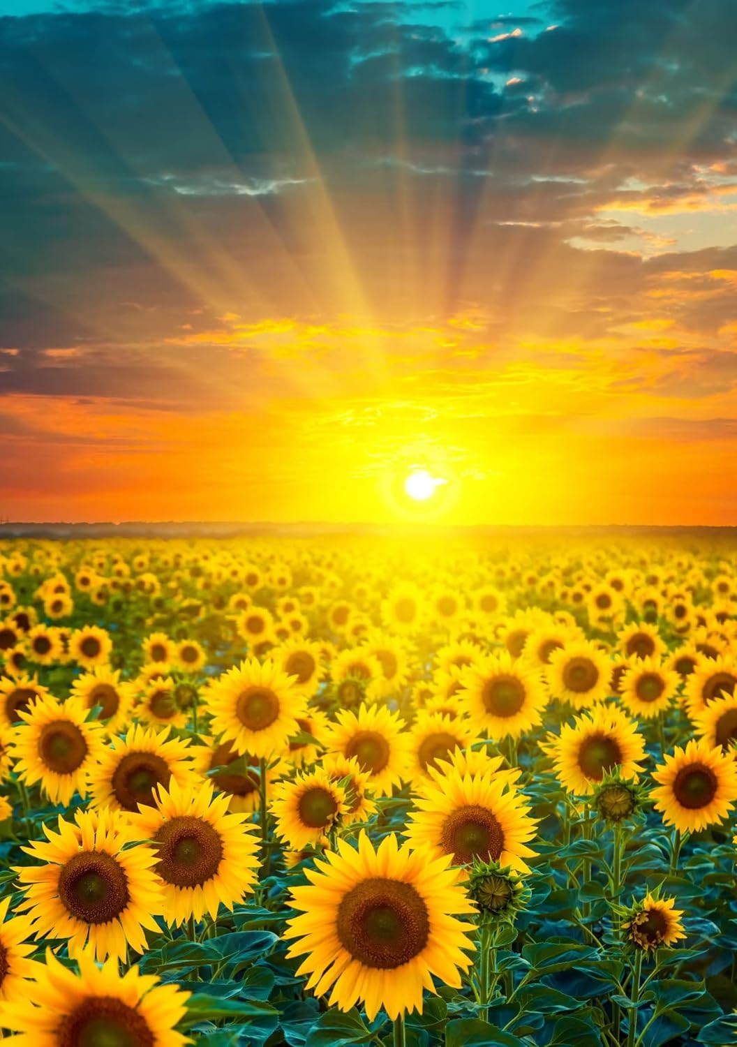 Bandera girasoles campos flores 28x40" decoración jardín