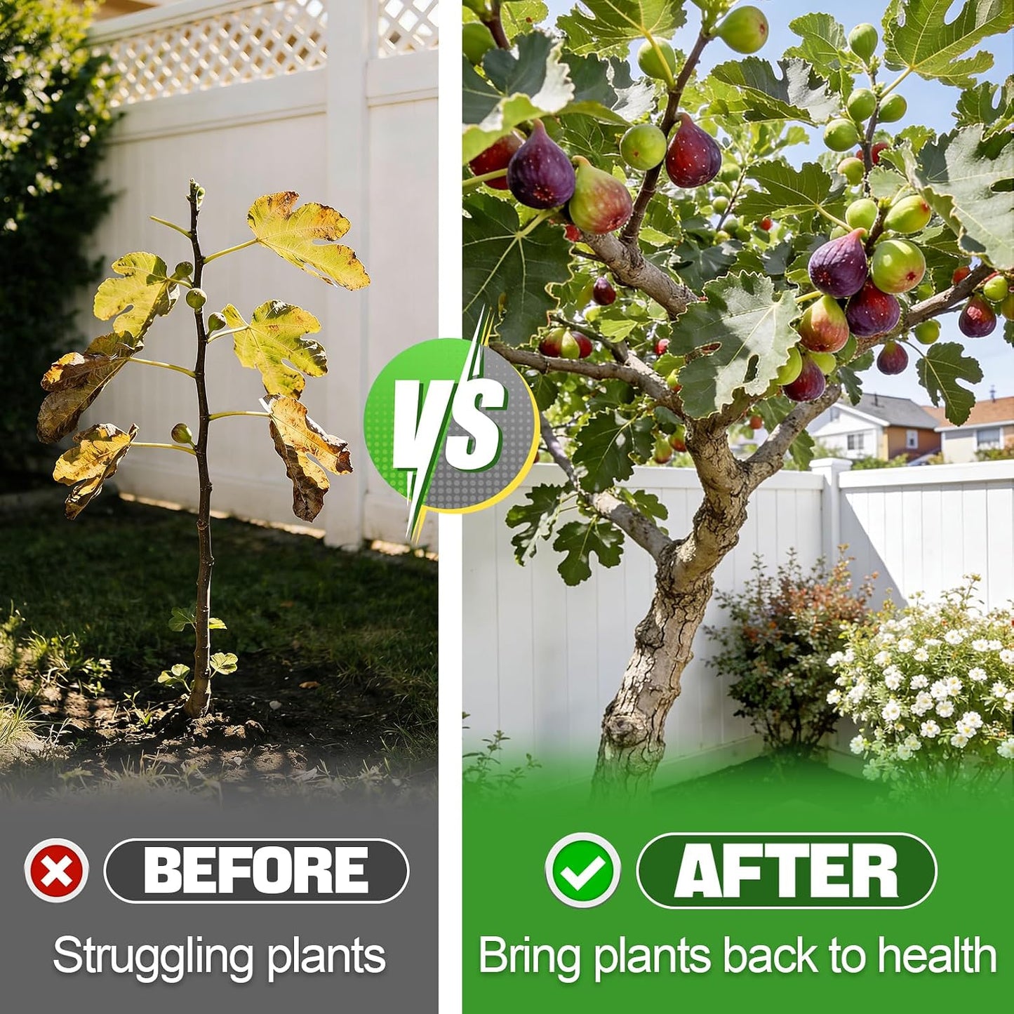 Fertilizante 10-10-10 liberación lenta para jardinería 1qt