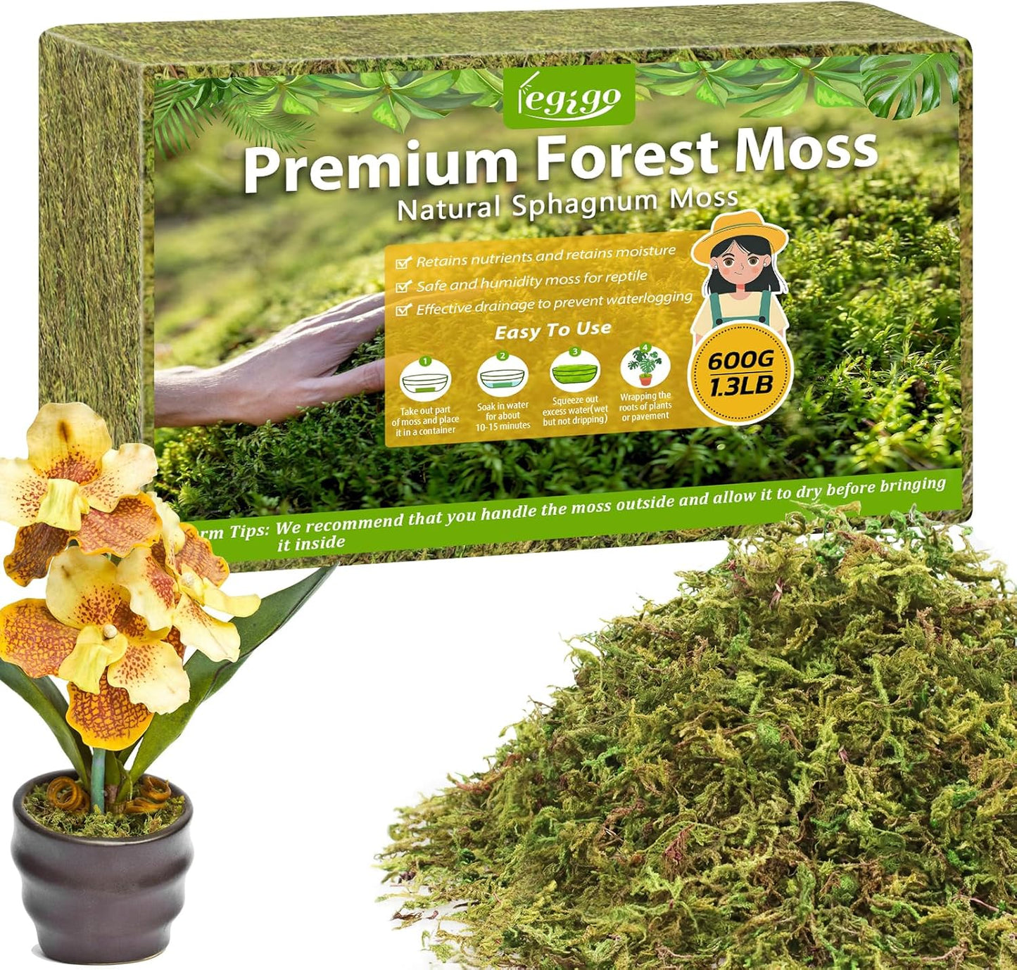 Musgo Sphagnum Verde Natural 25qt para Plantas en Maceta
