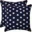 2 Almohadas Acento 16.5x16.5pulg Azul/Blanco