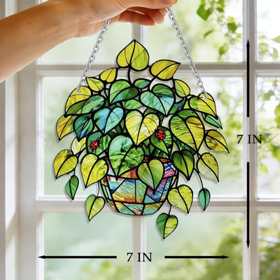 Atrapasoles cristal para plantas vitral colgar ventana