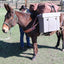 Bolsa nailon pack superior para embalaje caballo y mula