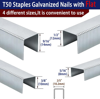 20 Grapas Galvanizadas T-50 Paquete Surtido 5248 Pzas