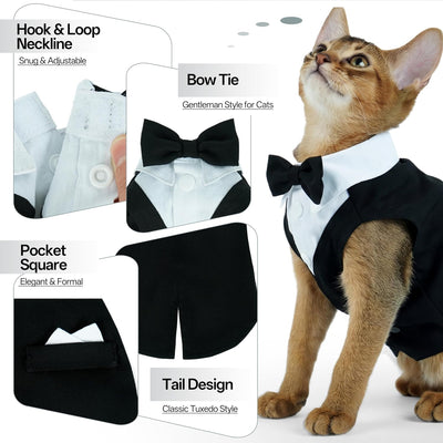 Traje esmoquin gato suave con corbatín para machos y hembras