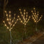 Luces abedul blanco enchufe sauce 30" 60LT interior exterior