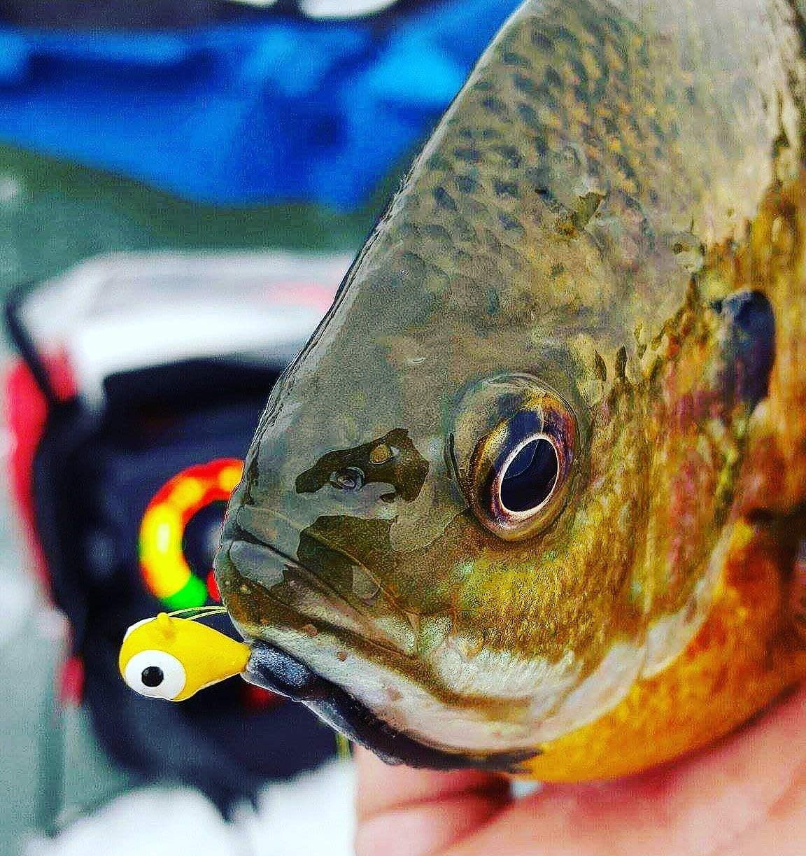 Kit plantillas pesca tungsteno pre surtido con caja