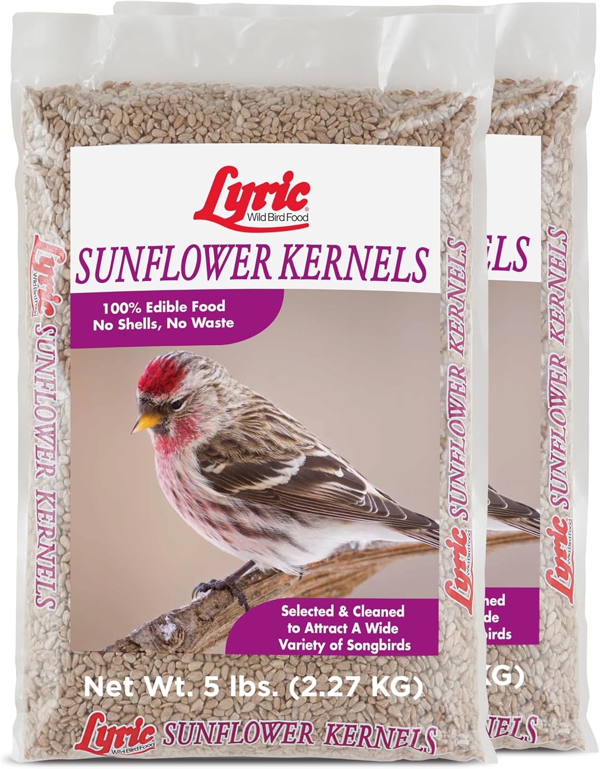 Semillas aves silvestres girasol comedero exterior 10lb