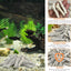 Coral triturado 2.2lb para acuario agua dulce con bolsa malla