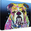 Lienzo exterior 'The Bulldog' Dean Russo 35x47