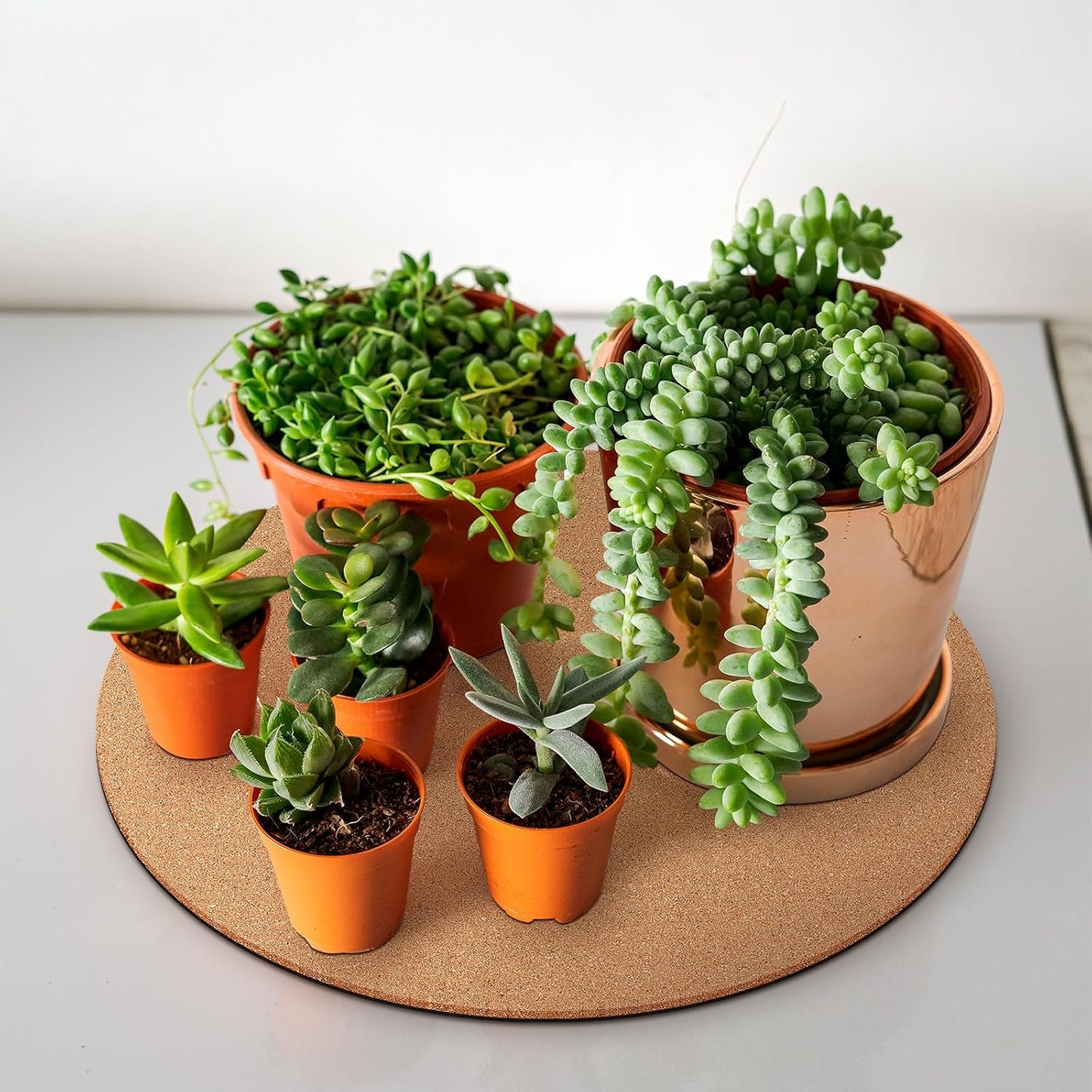 2 Posavasos Corcho 16pulg Doble Capa Tapete Plantas